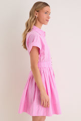Watermelon Stripe Howard Dress