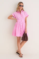 Watermelon Stripe Howard Dress